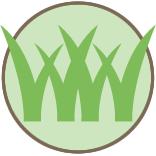 Lawn Trimming And Edging Pros