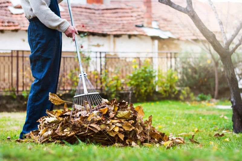 Seasonal Lawn Maintenance Tools