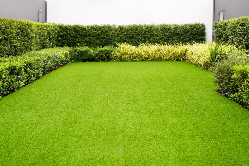 Trimmed Lawn
