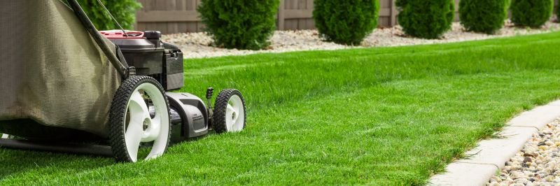 The Difference Professional Lawn Mowing Makes